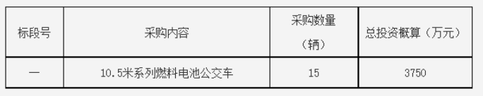 250万元/辆 2021年嘉兴市国鸿公共交通有限公司燃料电池公交客车采购招标