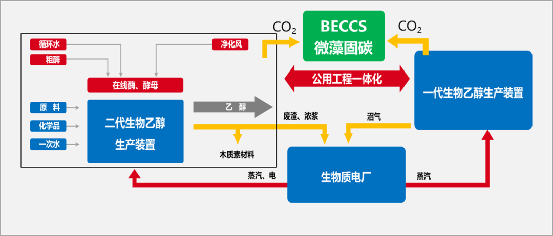 岳国君院士：“双碳”背景下燃料乙醇走向氢经济的新机遇