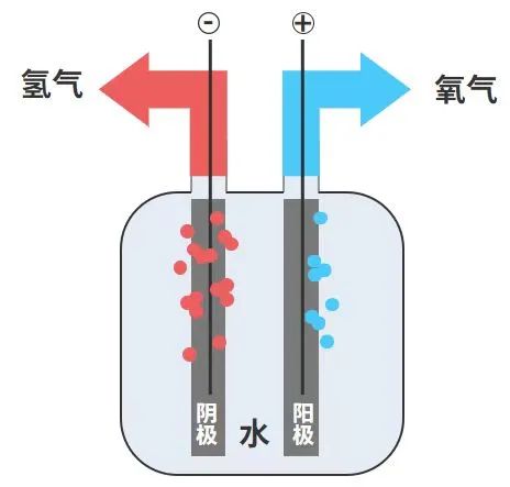 绿氢，从哪儿来？